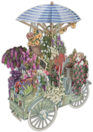 Me&McQ - 3D Wenskaart - Flower Seller's Bicycle - Blue