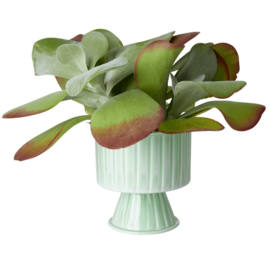 Rice Metal Flower Pot on Feet - Medium - Sage Green