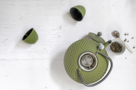 Bredemeijer Cast Iron Tea Cups -set of 2- Xilin Green