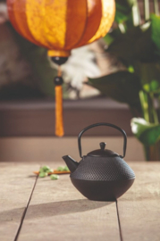 Bredemeijer Cast Iron Teapot Xinjiang 1 liter Black