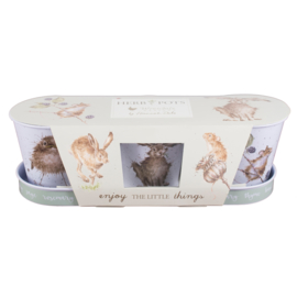 Wrendale Herb Pots and Tray -owl, hare, mouse-