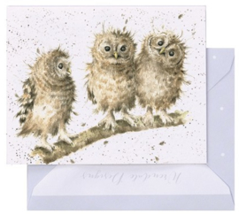 Wrendale Designs 'You First!' miniature card
