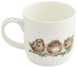 Wrendale Designs 'Feather Your Nest' Mug