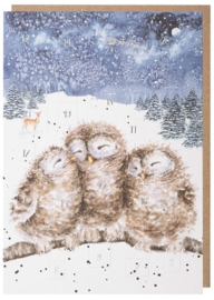 Wrendale 'Three Wise Men' Owl Advent Calendar