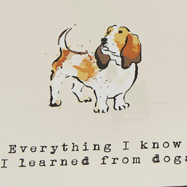 Ulster Weavers Coasters - Country Dogs - set of 4