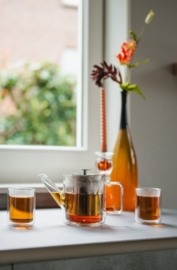 Bredemeijer Theepot San Remo 1 liter -dubbelwandig glas -inclusief theefilter-