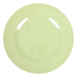 Rice Melamine Round Dinner Plate in Mint