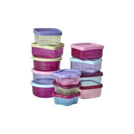 Rice Assorted Small Plastic Food Boxes in Net - 'Viva la Vida' Colors - 12 pieces
