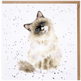 Wrendale Designs 'Paws for Thought' Cat Card