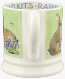 Emma Bridgewater Bright New Morning - Rabbits & Kits 1/2 Pint Mug - Pale Green