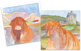 Emma Ball Mini Cards Highland Cow - set van 10 met envelop