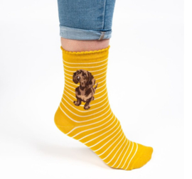 Wrendale Designs Socks 'Little One' Dachshund - Dames maat 37–41