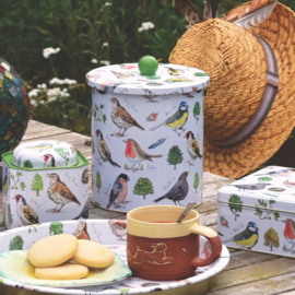 Madeleine Floyd - Bird Song - Biscuit Barrel