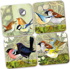 Emma Ball Coasters - British Birds - set of 4