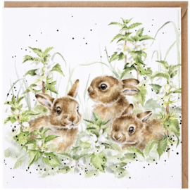 Wrendale Designs Card 'Spring Hares'
