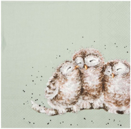 Wrendale Designs Cocktail Napkins 'Owl Together' Owl