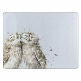 Wrendale Designs 'Birds of a Feather' Owl Glass Worktop Saver