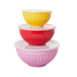 Rice Melamine Bowls with Lid - 'Red, Pink and Yellow Favorite Colors' - Set of 3