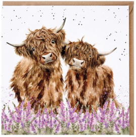 Wrendale Designs 'Gentle Giants' Highland Cow Card