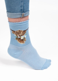 Wrendale Designs Socks 'Daisy Coo' Highland Cow - Dames maat 37–41