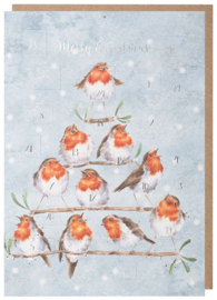 Wrendale 'Rockin Robins' Robin Advent Calendar