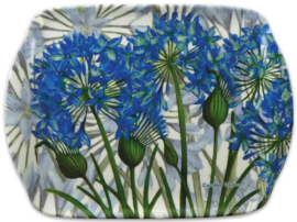 Emma Ball Scatter Tray - Agapanthus II