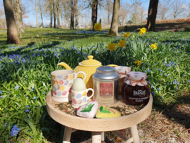 Dames van de Thee -Riverdale Premium- 