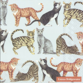 Emma Bridgewater Cats Light Blue Lunch Napkins