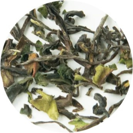 Dames van de Thee -Darjeeling First Flush Risheehat Bio 2023 FTGFOP1 Lot 1- 50 gram