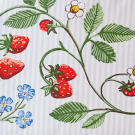 Ulster Weavers Tea Cosy - Strawberry Patch