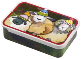 Emma Ball Mini Pocket Tin - Happy Sheep II