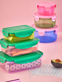 Rice Rectangular Food Box with Green Lid - Set of 3