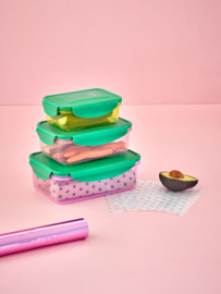 Rice Rectangular Food Box with Green Lid - Set of 3