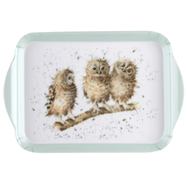 Wrendale Designs Owl Scatter Tray