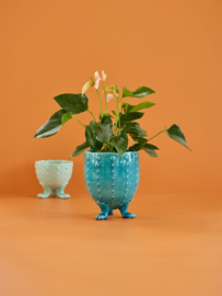 Rice Ceramic Flower Pot in Aqua and Crackled Look