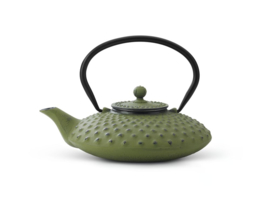 Bredemeijer Cast Iron Teapot Xilin 0,8 liter Green