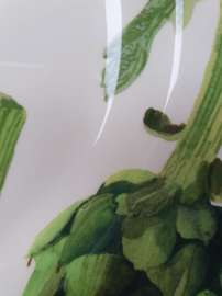 Emma Bridgewater - Vegetable Garden - Artichoke - 10 1/2 Inch Plate *b-keuze*