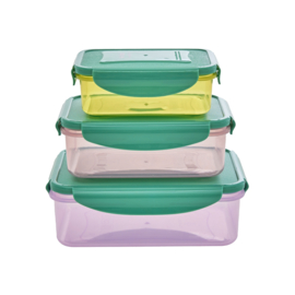 Rice Rectangular Food Box with Green Lid - Set of 3