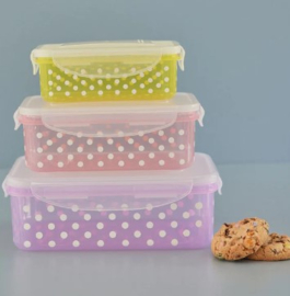 Rice Rectangular Food Box with Dots - Set of 3