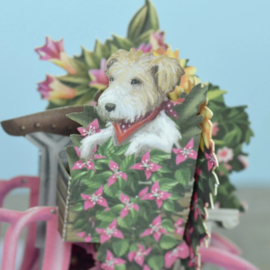 Me&McQ - 3D Wenskaart - Flower Seller's Bicycle - Pink