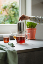 Bredemeijer Theepot San Remo 1 liter -dubbelwandig glas -inclusief theefilter-