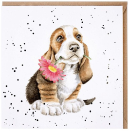 Wrendale Designs 'Just for You' Basset Hound Card