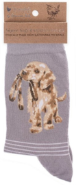 Wrendale Designs Socks 'Hopeful' Labrador - Dames maat 37–41