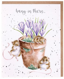 Wrendale Designs 'Hang in There' Card
