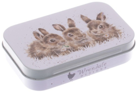 Wrendale Designs 'Daisy Chain' mini gift tin