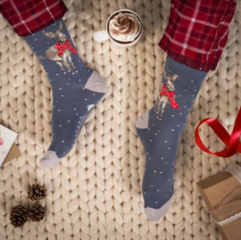 Wrendale Designs Socks 'All Wrapped Up' Donkey - maat 41–46