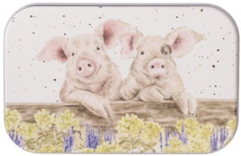 Wrendale Designs 'Nosy Neigh-boars' Pig mini gift tin