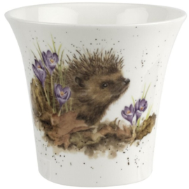 Wrendale Designs 'Hedgehog' Vase / Flowerpot / Herb Pot -10 cm hoog-