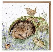 Wrendale Designs 'The Wild Patch' Hedgehog Card