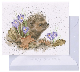 Wrendale Designs 'New Beginnings' miniature card